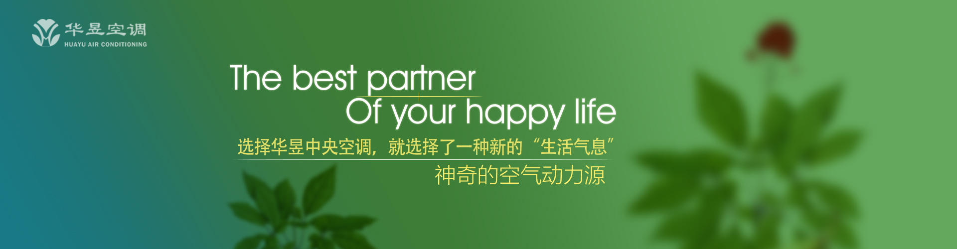 满盘皆输网